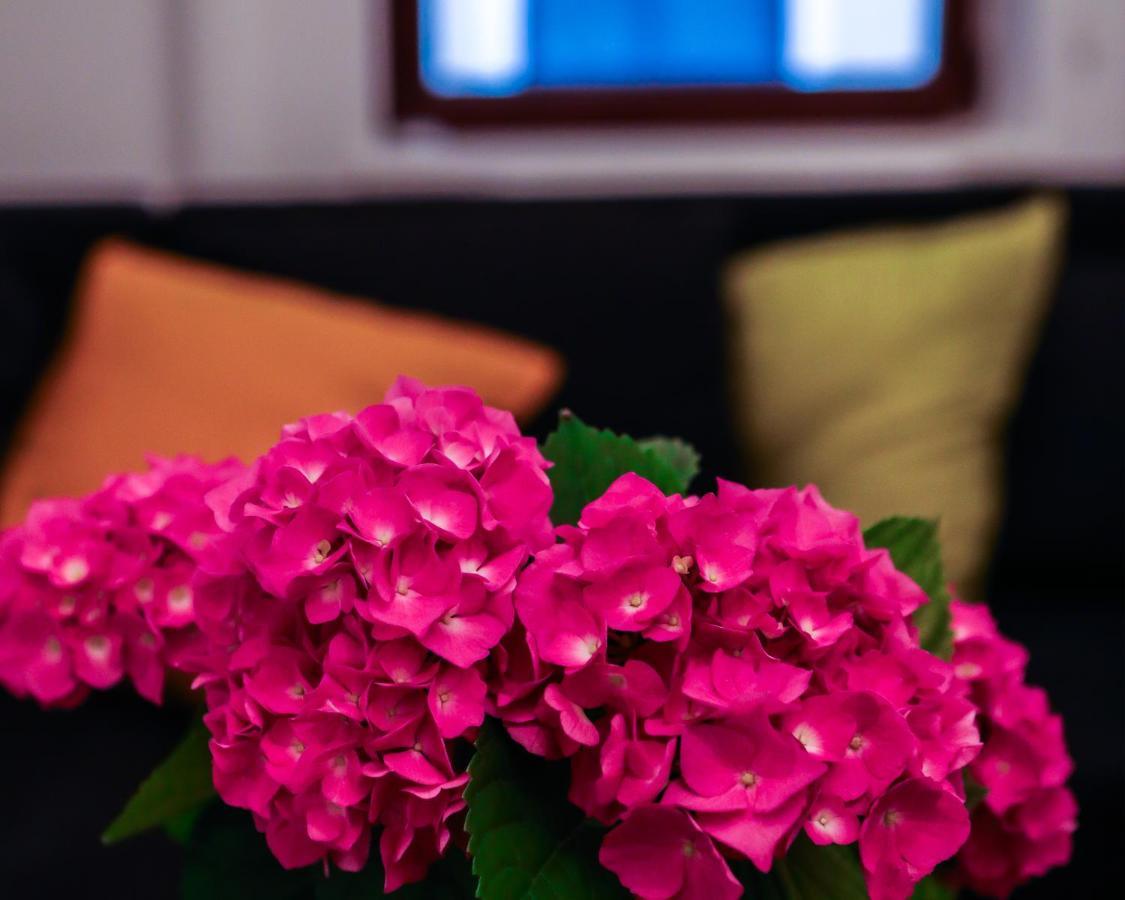 Comfort & Style - Kiseleff - Arcul De Triumf - Appartamento Bucarest