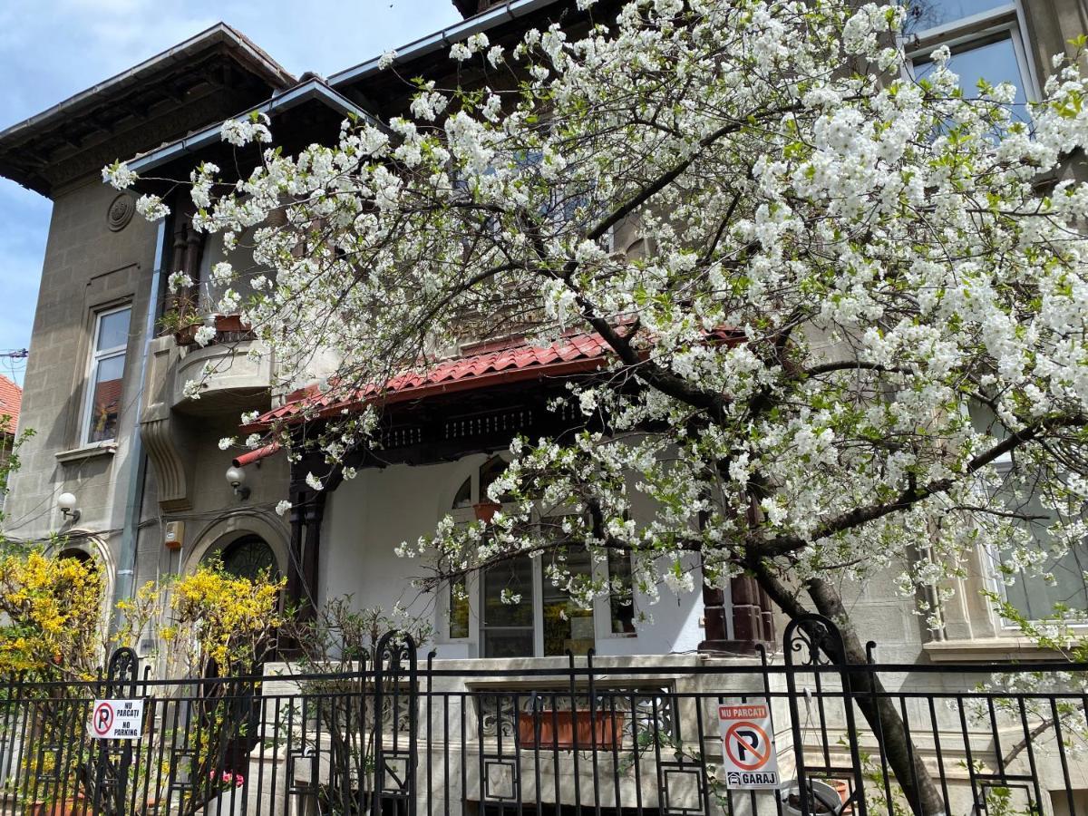 Comfort & Style - Kiseleff - Arcul De Triumf - Apartment *